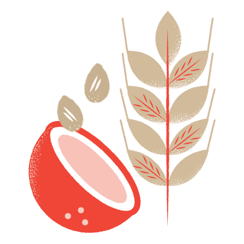 An illustration of oats and coconut